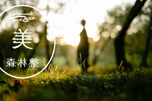 12/20（土）『森林整美 vol.74』